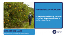 Minuto del Productor: Marcos Dal Mazo (Asociación de Citricultores de Villa del Rosario)