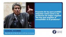 Manuel Aguirre - Diputado de la Nación por la UCR de Corrientes