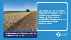 Polémica por la “cláusula VISEC” en la declaración del SISA - por Cecilia Vignau
