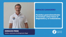 Espacio Ganadero: Parásitos gastrointestinales en bovinos