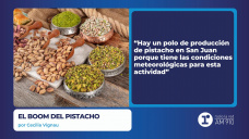 El Boom del Pistacho - por Cecilia Vignau