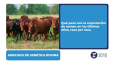 Mercado de Genética Bovina