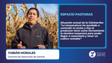 Espacio pasturas: Fabián Morales, gerente de Desarrollo de Gentos