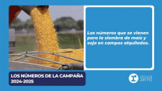 Los números de la campaña 2024-25