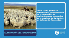 Eliminación del Fondo Ovino