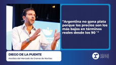 Diego de la Puente - Analista del Mercado de Granos de Novitas