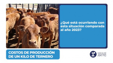 Costos de producción de un Kilo de ternero