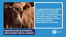 Identificación electrónica obligatoria para el ganado