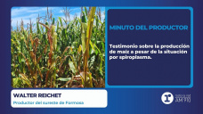 Minuto del productor: Walter Reichet (Productor del sureste de Formosa)