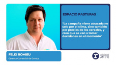 Espacio pasturas: Félix Romieu, gerente comercial de Gentos Argentina