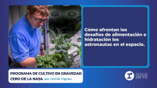 Programa de cultivo en gravedad Cero de la NASA - por Cecilia Vignau