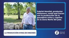 La producción ovina en Misiones - Gabriel Montiel