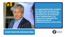 Juan Pazo en AmCham 2024