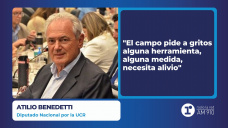 Atilio Benedetti - Diputado Nacional por la UCR