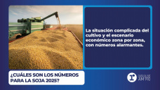 ¿Cuáles son los números para la soja 2025?