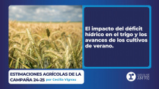 Estimaciones agrícolas de la Campaña 24-25 por Cecilia Vignau