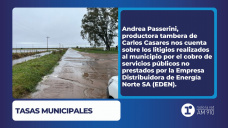 Tasas Municipales – Andrea Passerini