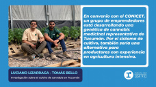 Luciano Lizarraga y Tomás Bello - Investigación sobre el cultivo de cannabis en Tucumán
