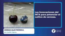 Cereza electrónica - por Cecilia Vignau