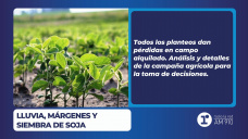 Lluvia, márgenes y siembra de soja