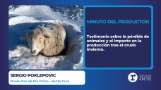 Minuto del Productor: Sergio Poklepovic, productor de Río Chico - Santa Cruz