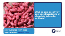 Biopolímeros para usos sustentables - por Cecilia Vignau