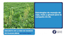 Encuesta de la Red de Manejo de Plagas (REM) - por Cecilia Vignau