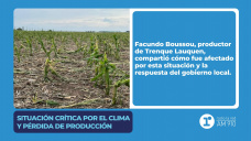 Situación crítica por el clima y pérdida de producción: Facundo Boussou (Productor de Trenque Lauquen)