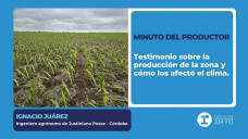 Minuto del Productor: Ignacio Juárez, ingeniero agrónomo de Justiniano Posse - Córdoba