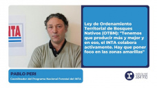 Pablo Peri - Coordinador del Programa Nacional Forestal del INTA