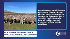 La actualidad de la producción ovina en la provincia de santa cruz