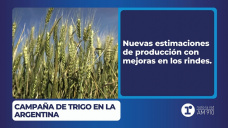 Campaña de trigo en la Argentina