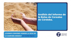 ¿Cuándo convenía vender la soja de la campaña 2023/24? Por Cecilia Vignau