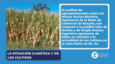 La situación climática y de los cultivos