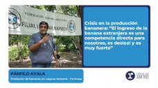 Pánfilo Ayala – Productor de bananas en Laguna Naineck, Formosa
