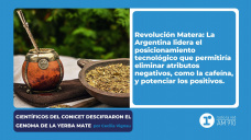 Científicos del CONICET descifraron el genoma de la Yerba Mate