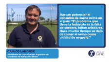 Carlos Laborde – Presidente de la Asociación Argentina de Criadores de Hampshire Down