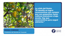 Diana Chediak – Productora de limones en Tucumán