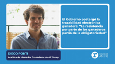Diego Ponti - Analista de Mercados Granaderos de AZ Group