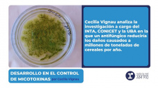 Desarrollo en el control de micotoxinas – Por Cecilia Vignau