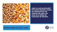 ESTIMACIONES DE SOJA Y MAIZ