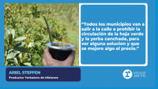 Ariel Steffen – Productor yerbatero de Misiones