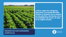 Mejora en los márgenes agrícolas