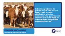 Federico Santangelo - Analista del Mercado Ganadero