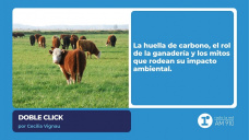 Doble Click: La huella de carbono - por Cecilia Vignau
