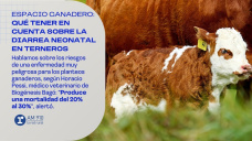 Qué tener en cuenta sobre la diarrea neonatal en terneros
