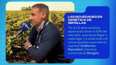Las novedades en genética de semillas