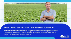 ¿Por qué vuelve a caer la superficie de soja?