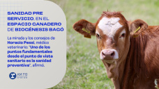 Sanidad preservicio, en el Espacio Ganadero de Biogénesis Bagó