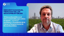 Desventajas en el mercado de los biocombustibles